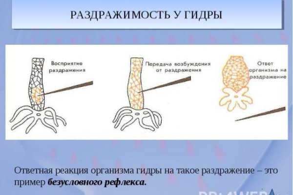 Значок кракена маркетплейса