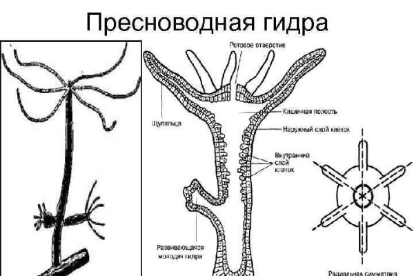 Гидра даркнет рынок