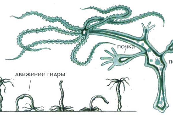 Зеркало кракен дарк