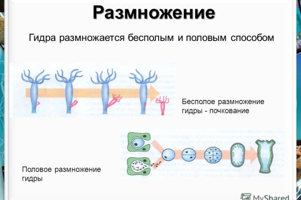 Kraken официальная ссылка tor